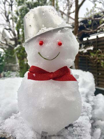 雪だるま作った！ 注目の空の写真 ウェザーニュース