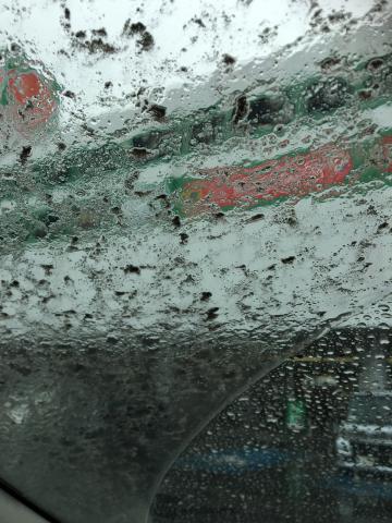 雨と火山灰が混ざっ...