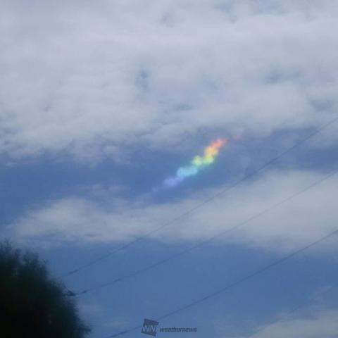 太陽と雲 EXCEED(CITIZEN) シチズン エクシード EXCEED Nebula 星雲 限定350本