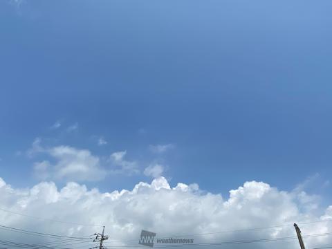 モクモク夏の雲 注目の空の写真 ウェザーニュース