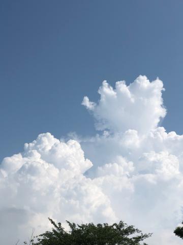 モクモク夏の雲 注目の空の写真 ウェザーニュース