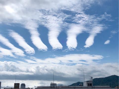 今まで見たことのな...