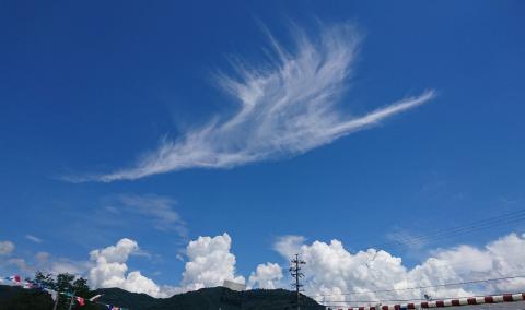 雲画廊】何に見える？ 注目の空の写真 ウェザーニュース