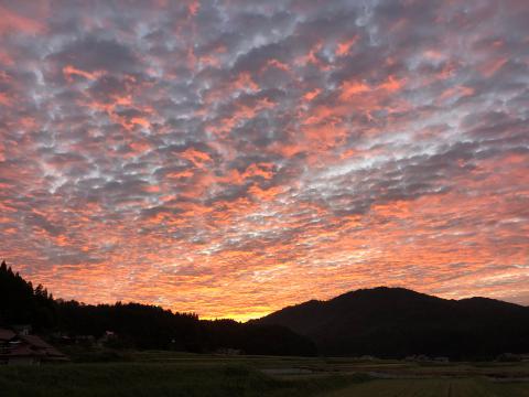 美しい秋の朝空 注目の空の写真 ウェザーニュース
