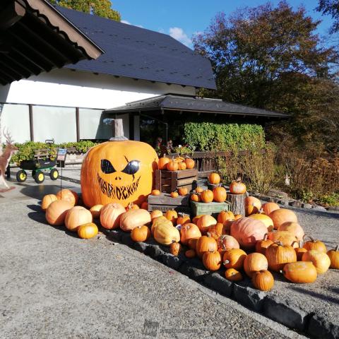 ☆Halloweenムード☆ 注目の空の写真 ウェザーニュース