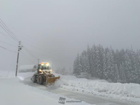 すごい！かなり降っ...