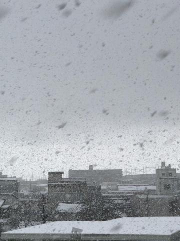 シンシンと降ってい...