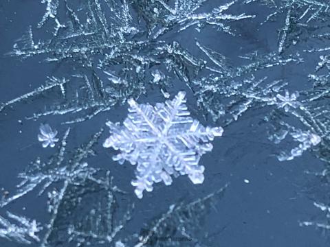 霜の華や雪の結晶 冷え込み厳しく 注目の空の写真 ウェザーニュース