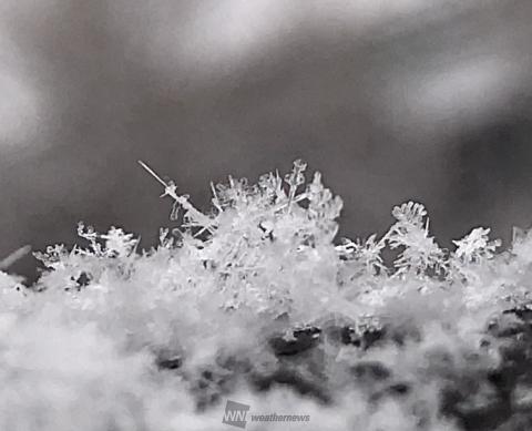 ステキな冬アート 注目の空の写真 ウェザーニュース