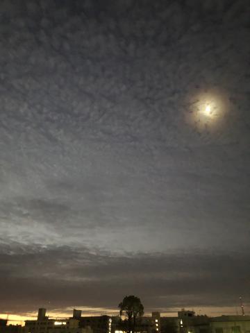 夜明け前の朧月 注目の空の写真 ウェザーニュース