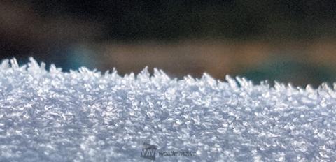 まるで砂糖菓子 冷えた朝に霜アート 注目の空の写真 ウェザーニュース