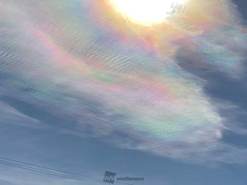 53896256.jpg