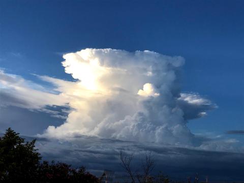 癒しのリポート「すきな雲編」 注目の空の写真 ウェザーニュース