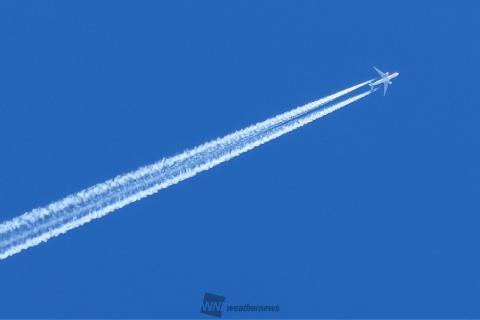 青空に映える飛行機雲 注目の空の写真 ウェザーニュース