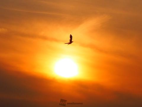 キレイなオレンジの夕焼け 注目の空の写真 ウェザーニュース