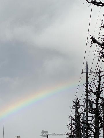 雨上がりの空 雨上がりの空に虹 注目の空の写真 ウェザーニュース