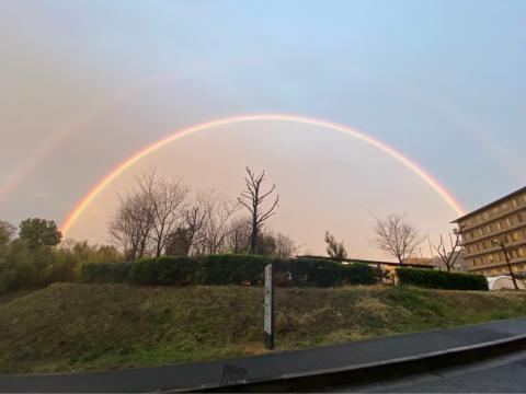 雨上がりの空 カンパノラ BU0020-20L CAMPANOLA 宙鏡(そらかがみ) ハラダ