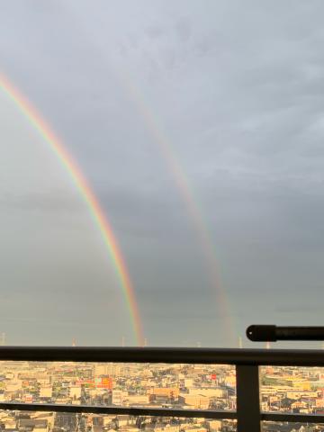 【金・財運！ダブル効果】⭐️超特大！虹入プラチナ・シルバー・ガーデン⭐️R 141 CZ76742-610