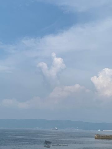 モクモク発達した入道雲 注目の空の写真 ウェザーニュース