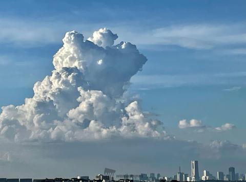 モクモク発達した入道雲 注目の空の写真 ウェザーニュース