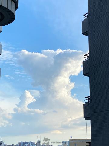 モクモク発達した入道雲 注目の空の写真 ウェザーニュース