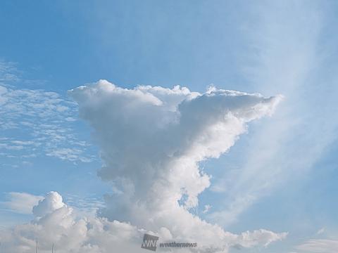 モクモク発達した入道雲 注目の空の写真 ウェザーニュース