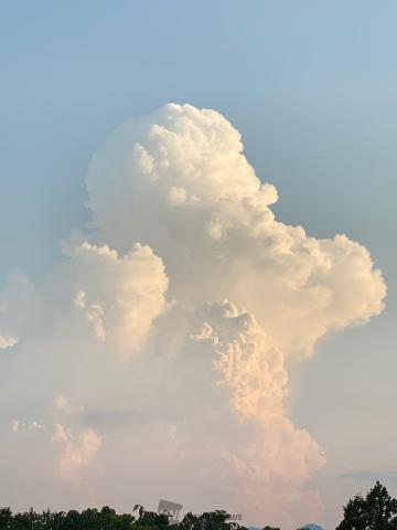 立派な入道雲 注目の空の写真 ウェザーニュース
