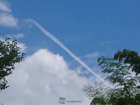 ザ！夏の雲 注目の空の写真 ウェザーニュース