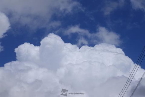 ザ！夏の雲 注目の空の写真 ウェザーニュース