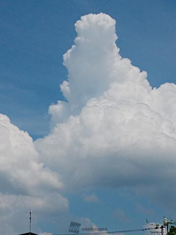ザ！夏の雲 注目の空の写真 ウェザーニュース