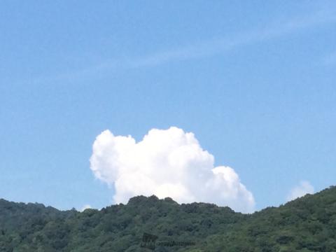 ザ！夏の雲 注目の空の写真 ウェザーニュース