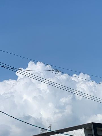 ザ！夏の雲 注目の空の写真 ウェザーニュース