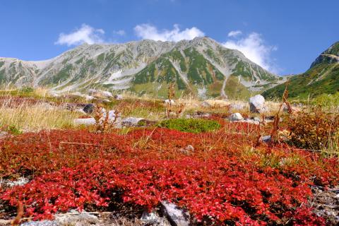所々紅葉がとっても...