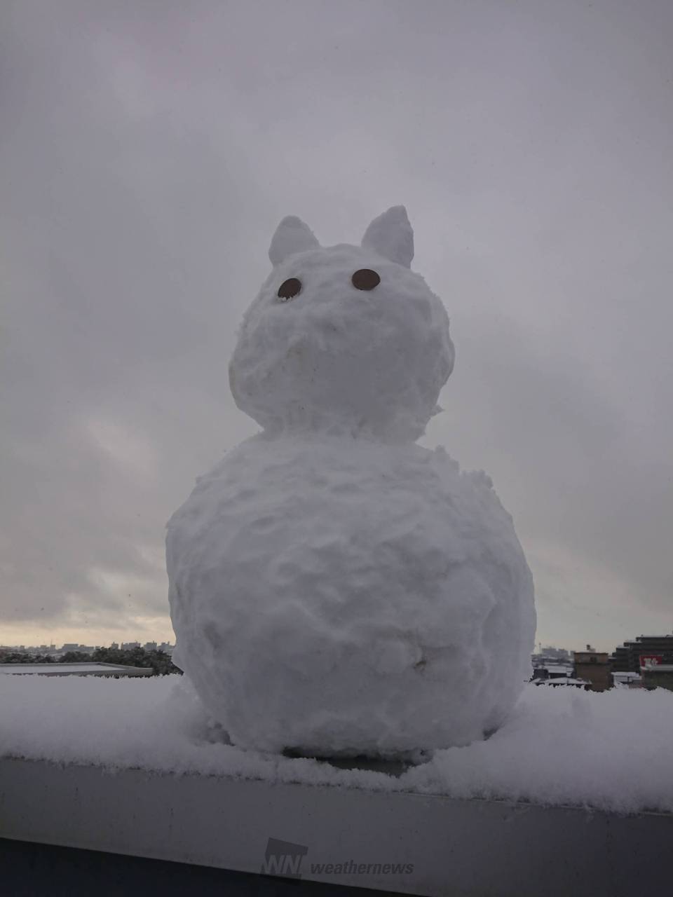 雪だるまできた！ 注目の空の写真 ウェザーニュース