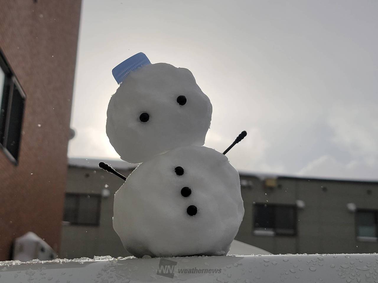 雪だるまできた！ 注目の空の写真 ウェザーニュース
