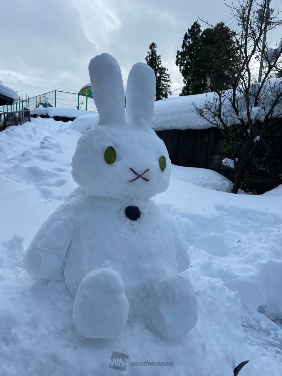 雪だるまできた！ 注目の空の写真 ウェザーニュース