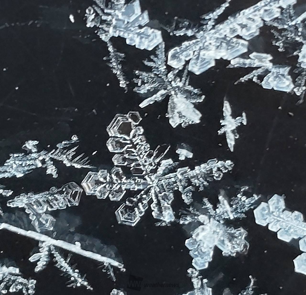 雪の結晶 注目の空の写真 ウェザーニュース