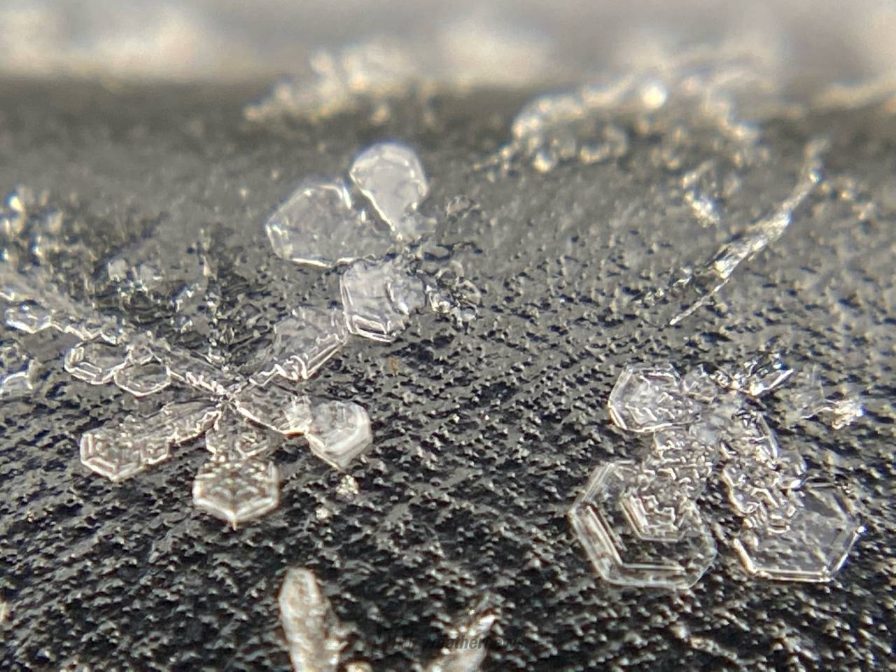 雪の結晶 注目の空の写真 ウェザーニュース