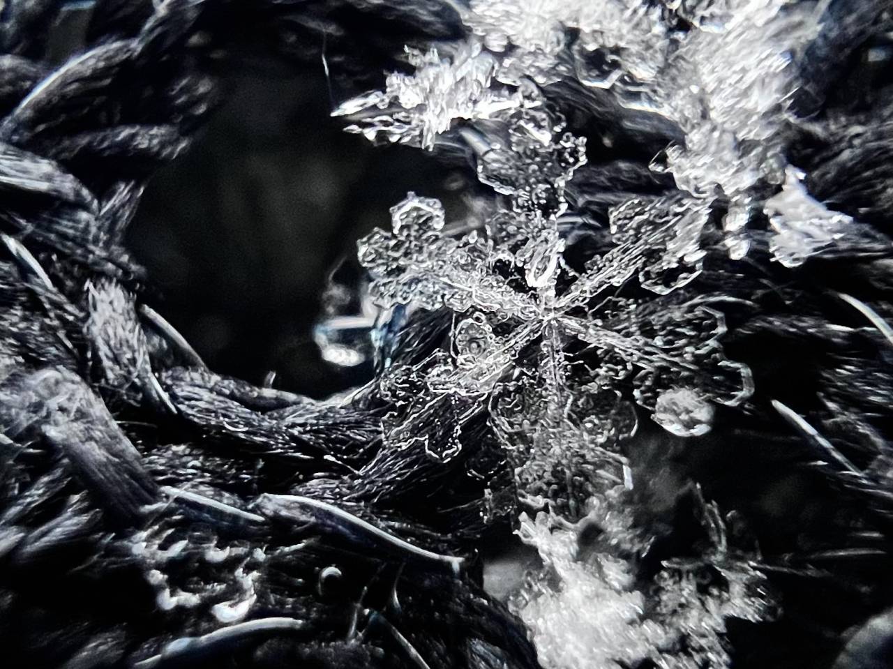 雪の結晶 注目の空の写真 ウェザーニュース