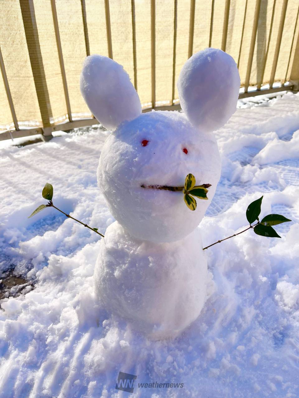 雪だるま現る 注目の空の写真 ウェザーニュース