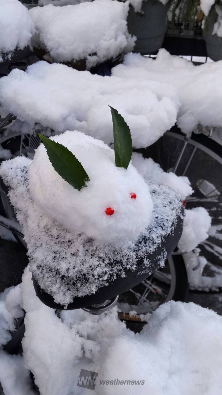 雪だるま現る 注目の空の写真 ウェザーニュース