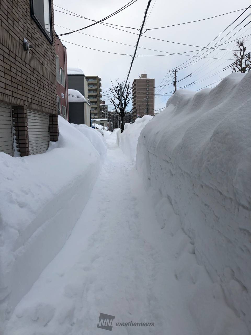 北海道の雪 hq720.jpg?sqp=-