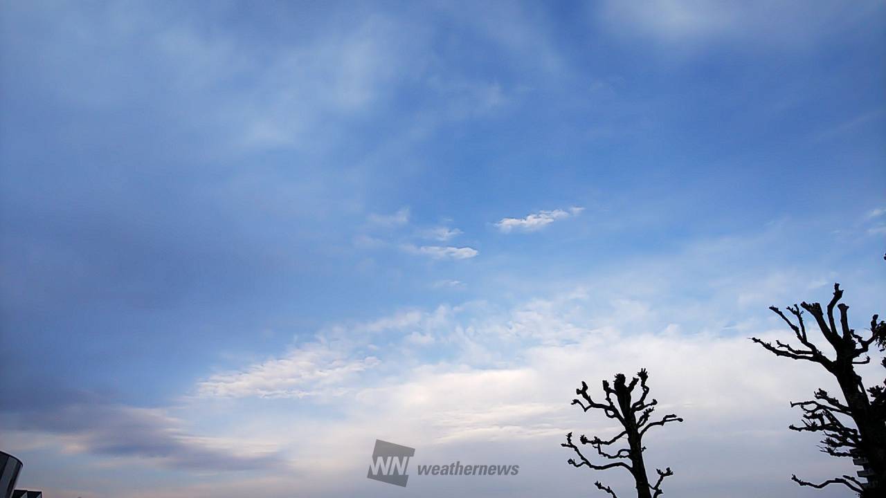雨上がりの朝 注目の空の写真 ウェザーニュース