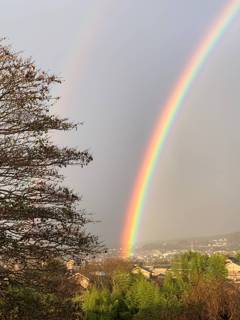 長野県 写真 丸虹 虹を発見！ 注目の空の写真 ウェザーニュース