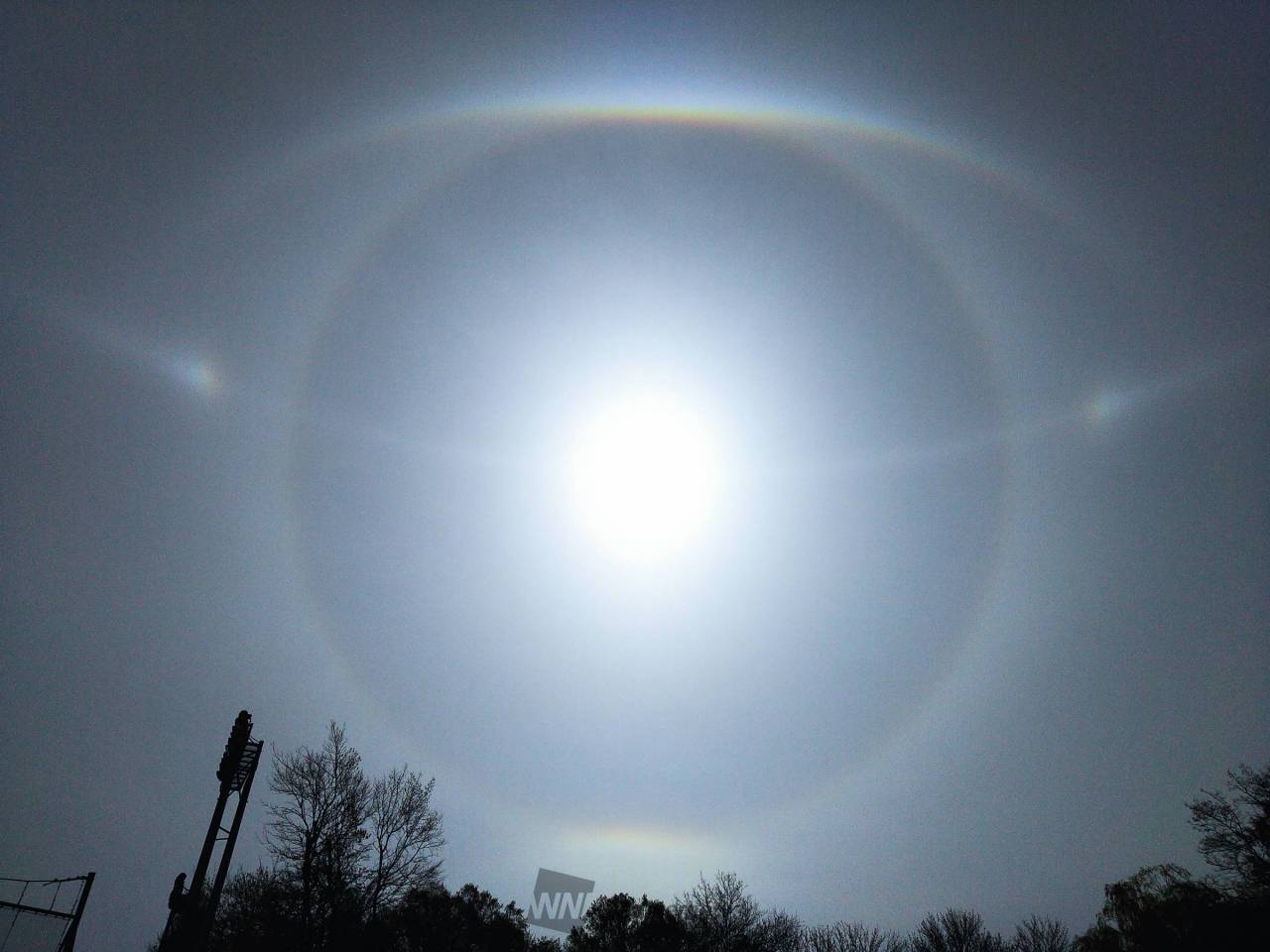 全部が見えるところ...