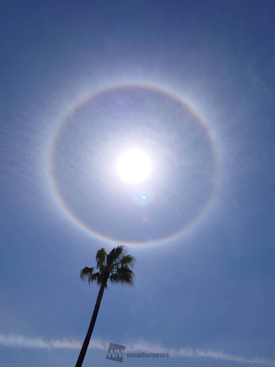 太陽 の 周り に 虹