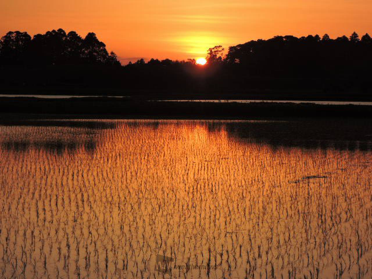 夕暮れ 夕暮れ」の383万点のロイヤリティフリー画像、写真素材、絵 | Shutterstock