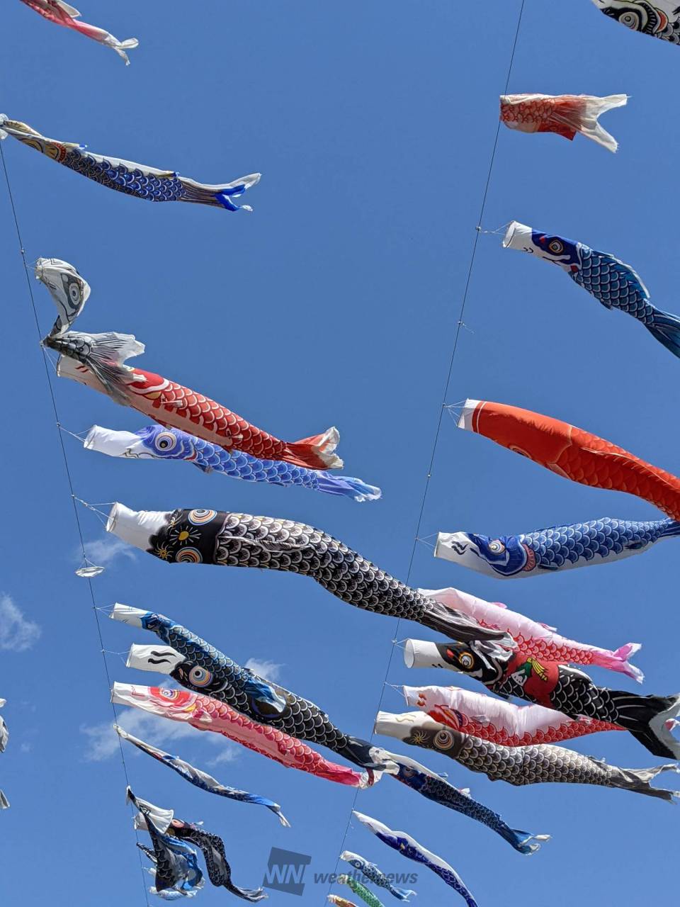 大空を泳ぐこいのぼり♪ 注目の空の写真 ウェザーニュース
