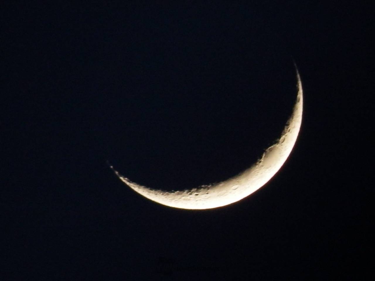 夜空に輝く細いお月さま 注目の空の写真 ウェザーニュース