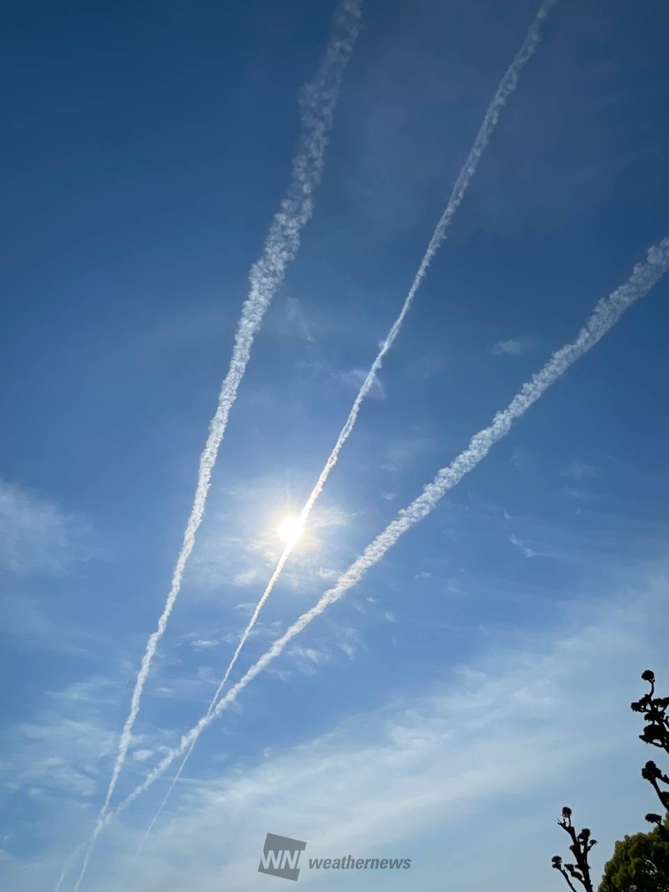 まっすーーぐ伸びる雲 注目の空の写真 ウェザーニュース